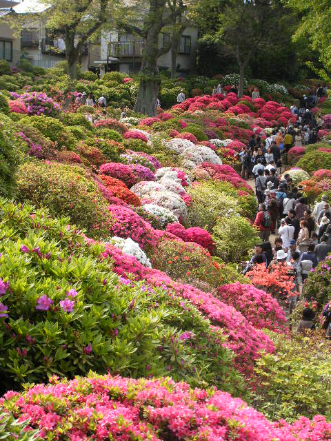 a0105730_8543356.jpg
