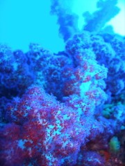 10.5.1 GWいかがお過ごし?_b0100730_21123159.jpg