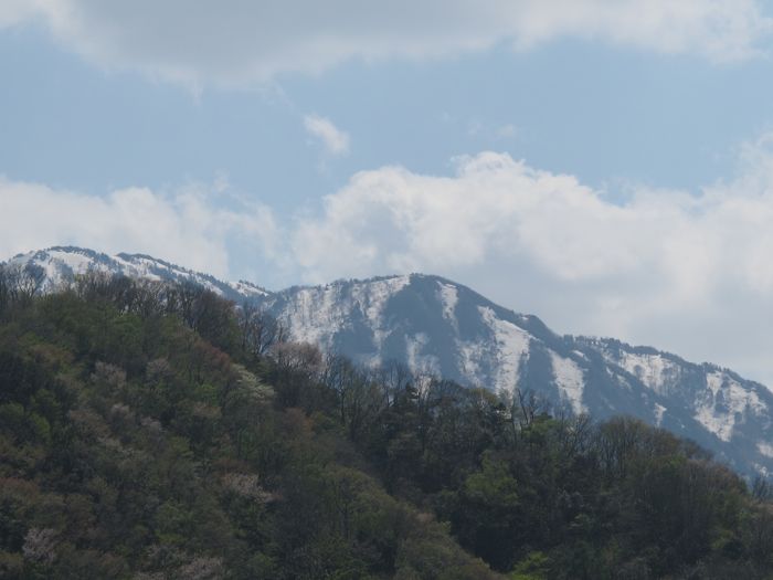 c0019131_21535535.jpg