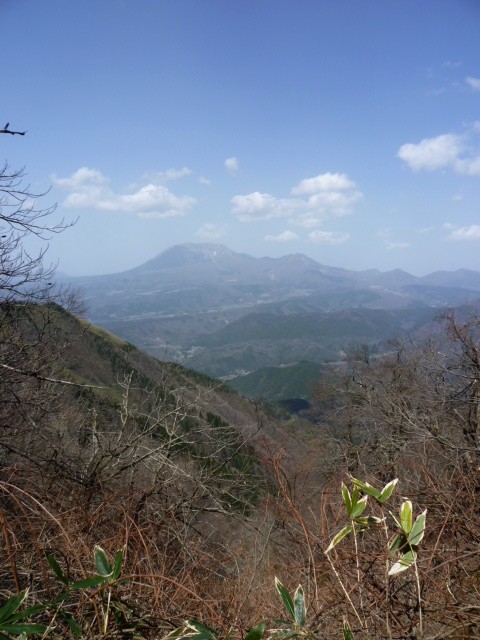 d0075131_2355190.jpg