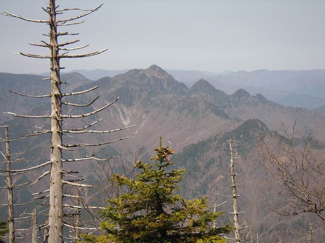 c0029332_1655341.jpg