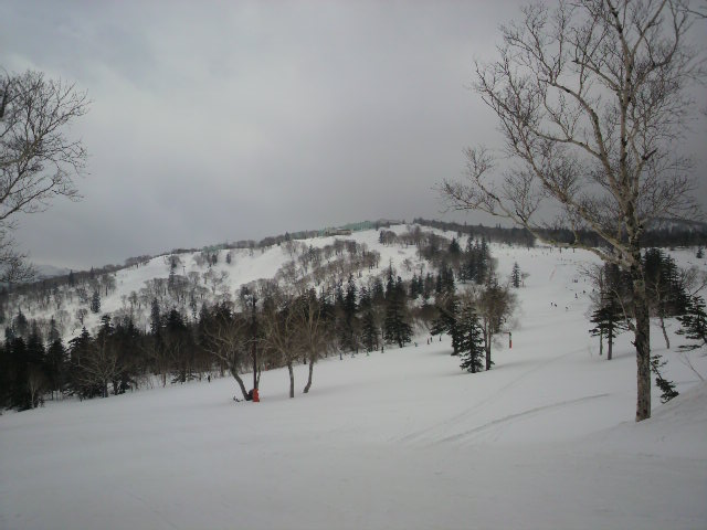e0173533_23393781.jpg