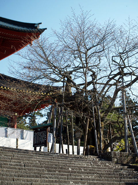 輪王寺....日光（Ⅵ）_f0103534_19395992.jpg