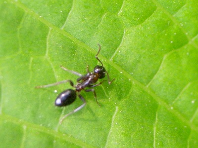 d0113340_22433693.jpg