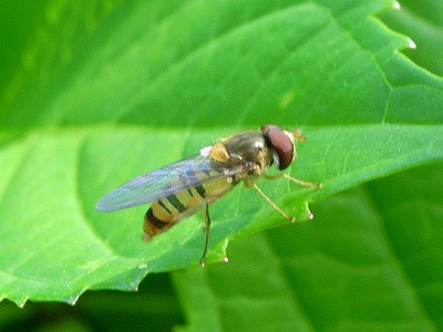 d0113340_2245950.jpg