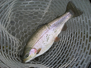 f0065341_21545715.jpg