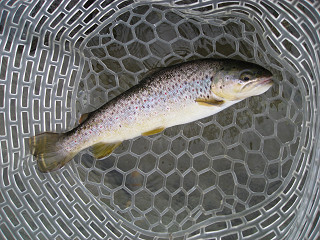 f0065341_21564327.jpg