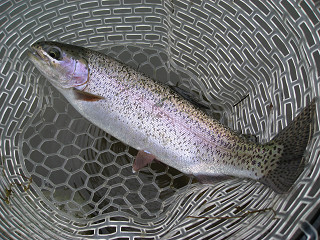 f0065341_2242440.jpg