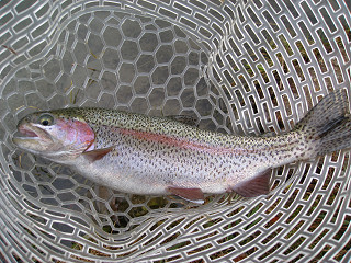 f0065341_2293872.jpg