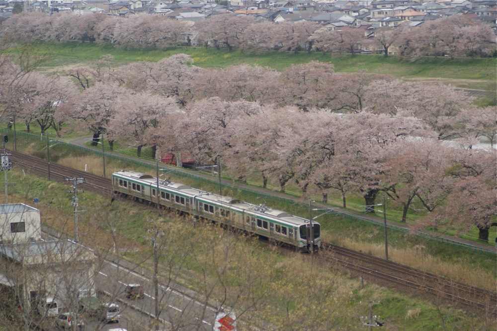 五月になれど_d0001843_912258.jpg