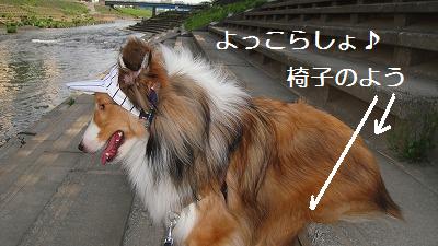屋根よ~り たーかーい♪_e0195743_3234769.jpg