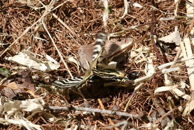 長野遠征３_f0217445_1964753.jpg