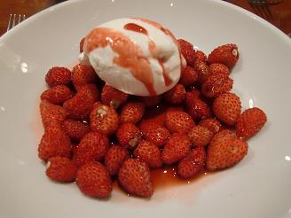 a0098948_230331.jpg