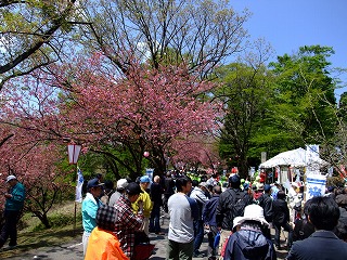 c0208355_156635.jpg