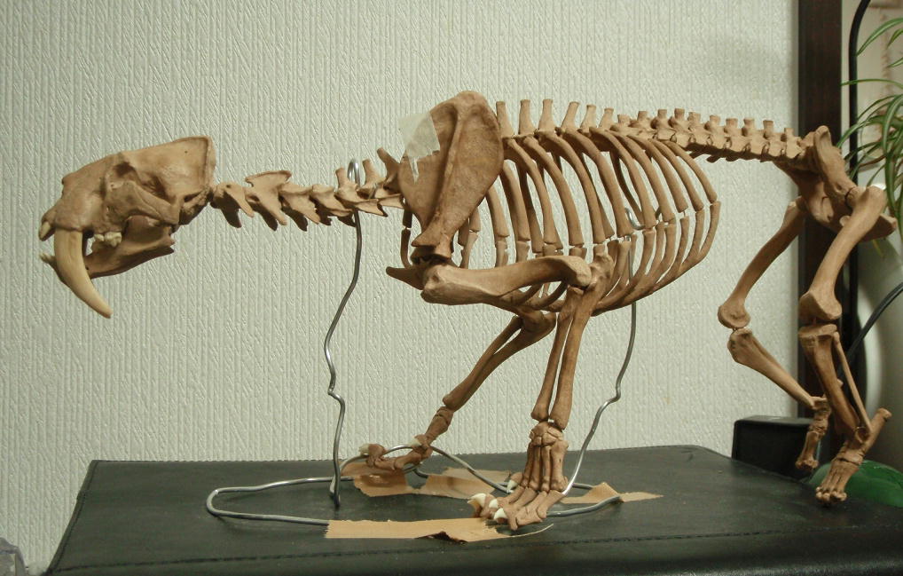 e0064457_2393710.jpg