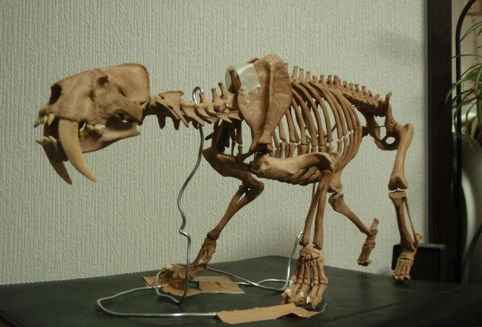 e0064457_2394512.jpg