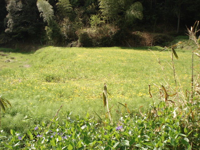 c0115958_1244192.jpg