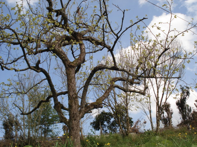 c0115958_1253622.jpg