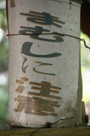 小岱山ふるさと自然公園　丸山コース_b0123359_21144868.jpg