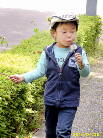 つつじ祭り〜根津神社_c0067459_120337.jpg