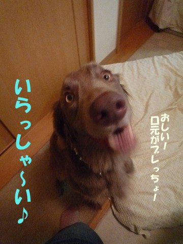 e0176159_1327056.jpg