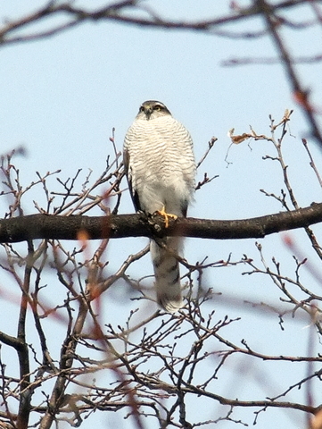b0165760_2201240.jpg