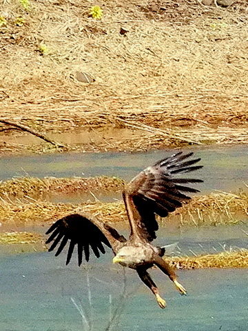 b0165760_2241470.jpg