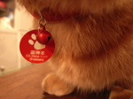 \"TheThreeRobbers Badge\"ってこんなこと。_c0140560_150451.jpg