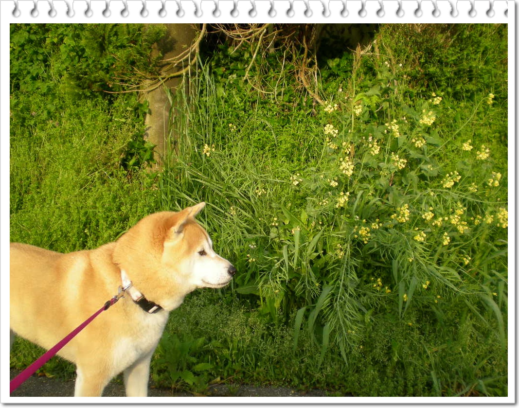 2010年5月1日(土)GWは人がいっぱい!_f0060461_1051113.jpg