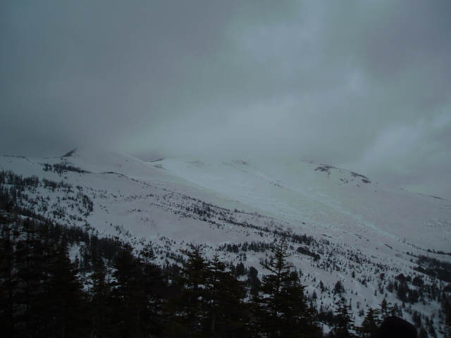 f0145963_21543350.jpg