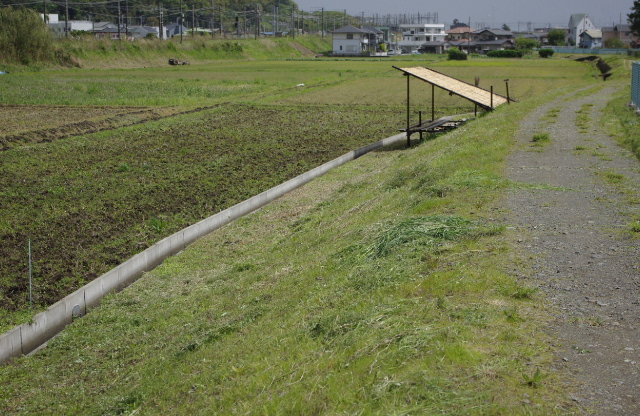c0187166_10363035.jpg