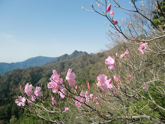 f0016066_15211394.jpg
