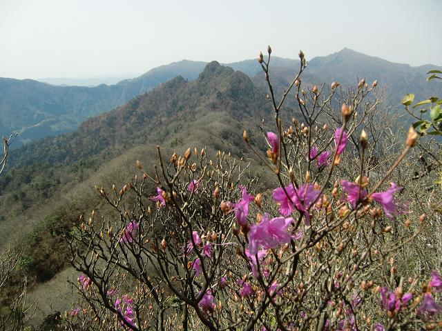 f0016066_15324013.jpg