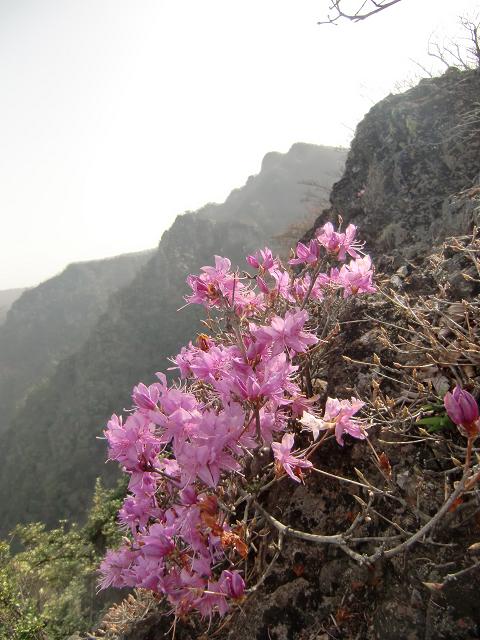 f0016066_15341787.jpg