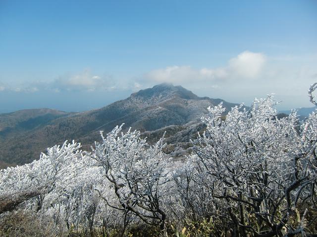 f0016066_15492641.jpg