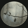 f0013872_0274141.gif