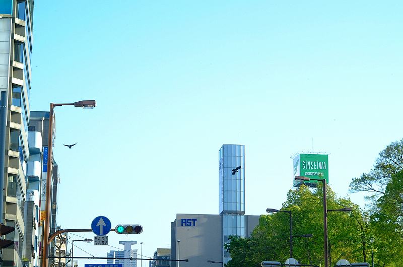 c0160387_11291120.jpg