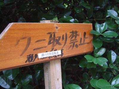 e0028387_23471744.jpg