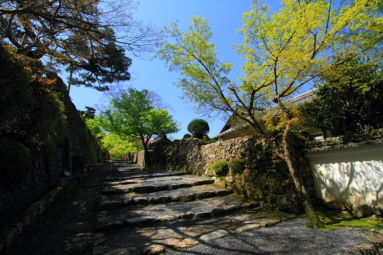 大原_e0051888_40142.jpg