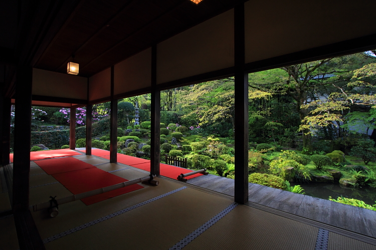 大原_e0051888_411595.jpg
