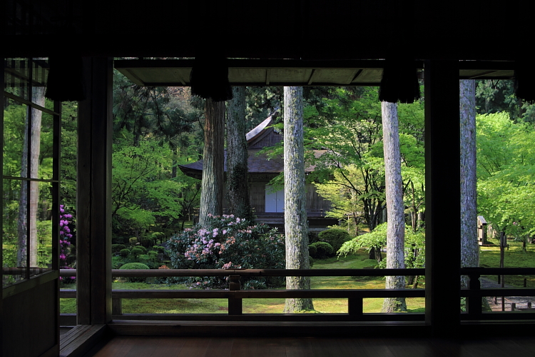 大原_e0051888_413449.jpg