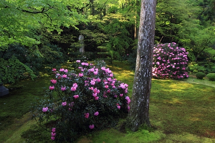 大原_e0051888_4143041.jpg