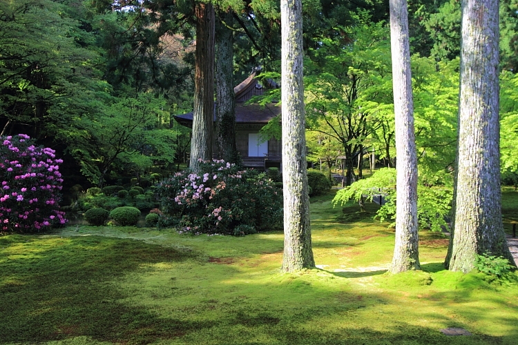 大原_e0051888_4152568.jpg