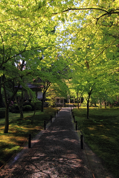大原_e0051888_4154361.jpg