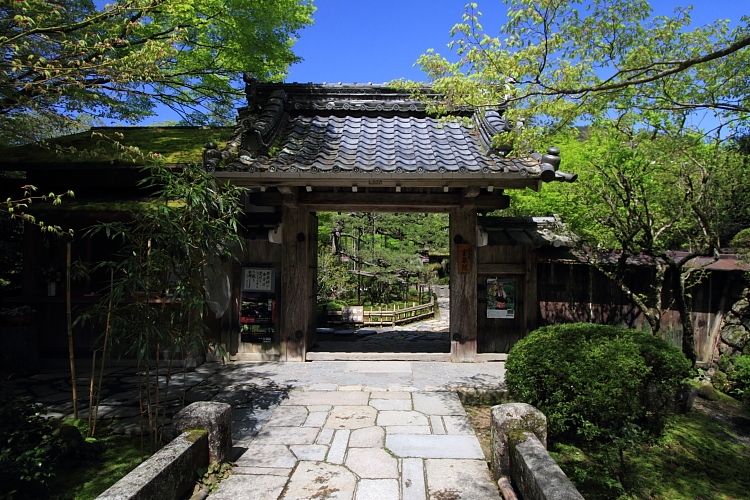 大原_e0051888_4163839.jpg
