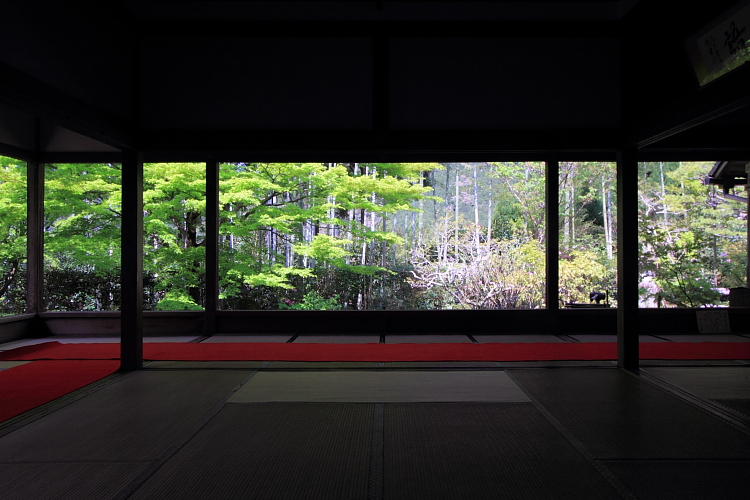 大原_e0051888_417596.jpg