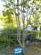 d0034291_21135324.jpg