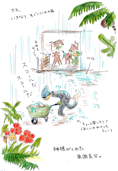 f0236291_15195458.gif