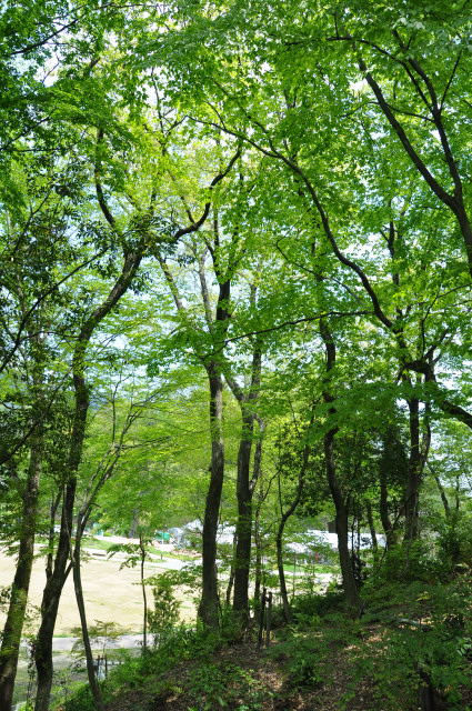 b0143293_19341323.jpg