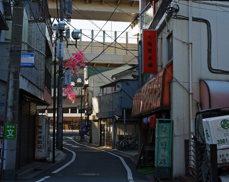d0134896_1130197.jpg